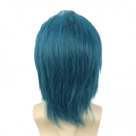 Mens blue wig back
